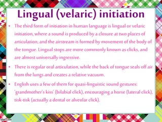 Lingual(velaric) initiation
• The thirdform of initiationinhumanlanguageis lingualor velaric
initiation,wherea sound is produced by a closure at twoplaces of
articulation,and the airstream is formed by movement of the bodyof
the tongue. Lingualstops are more commonlyknownas clicks, and
are almostuniversally ingressive.
• There is regular oral articulation,while the back of tongueseals off air
from the lungs andcreates a relative vacuum.
• Englishuses a few of them for quasi-linguistic sound gestures:
'grandmother's kiss' (bilabialclick),encouragingahorse (lateral click),
tisk-tisk(actually adental or alveolar click).
 