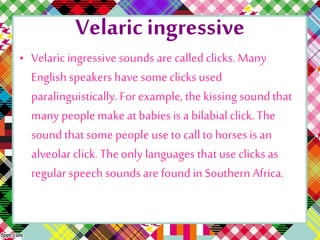 Velaric ingressive
• Velaricingressive sounds are called clicks.Many
Englishspeakers have someclicks used
paralinguistically.For example, the kissingsoundthat
many peoplemake at babiesis a bilabialclick.The
sound thatsome people use to callto horsesis an
alveolarclick. The only languagesthat use clicks as
regular speech soundsare foundin Southern Africa.
 