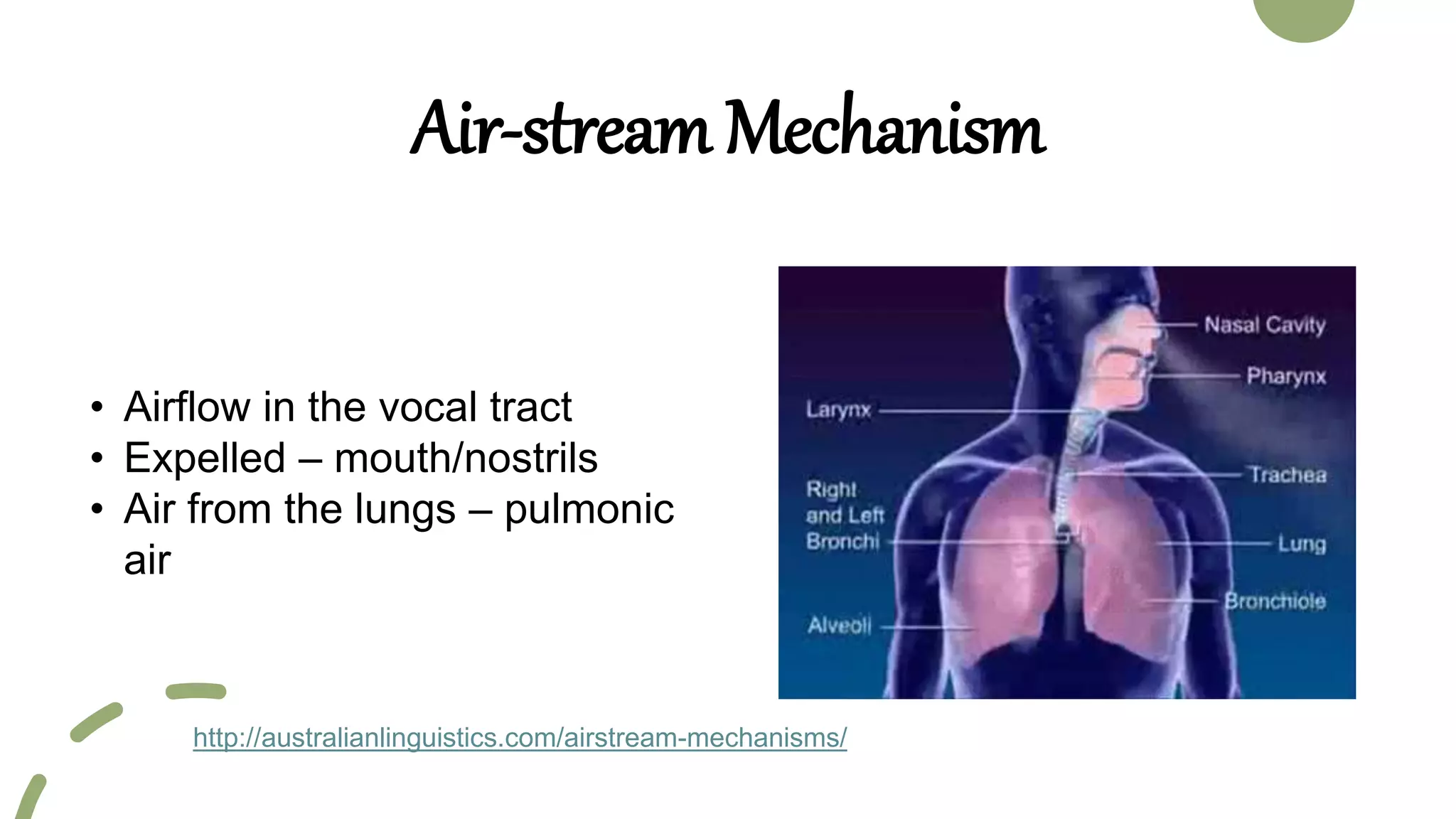 Air Stream Mechanism