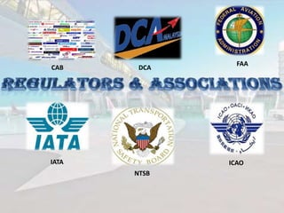 CAB

DCA

FAA

NTSB
IATA

ICAO
NTSB

 