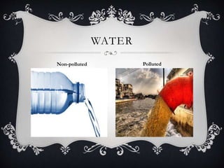 WATER
Non-polluted Polluted
 