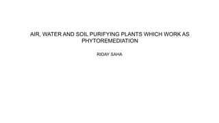 RIDAY SAHA
AIR, WATER AND SOIL PURIFYING PLANTS WHICH WORK AS
PHYTOREMEDIATION
 