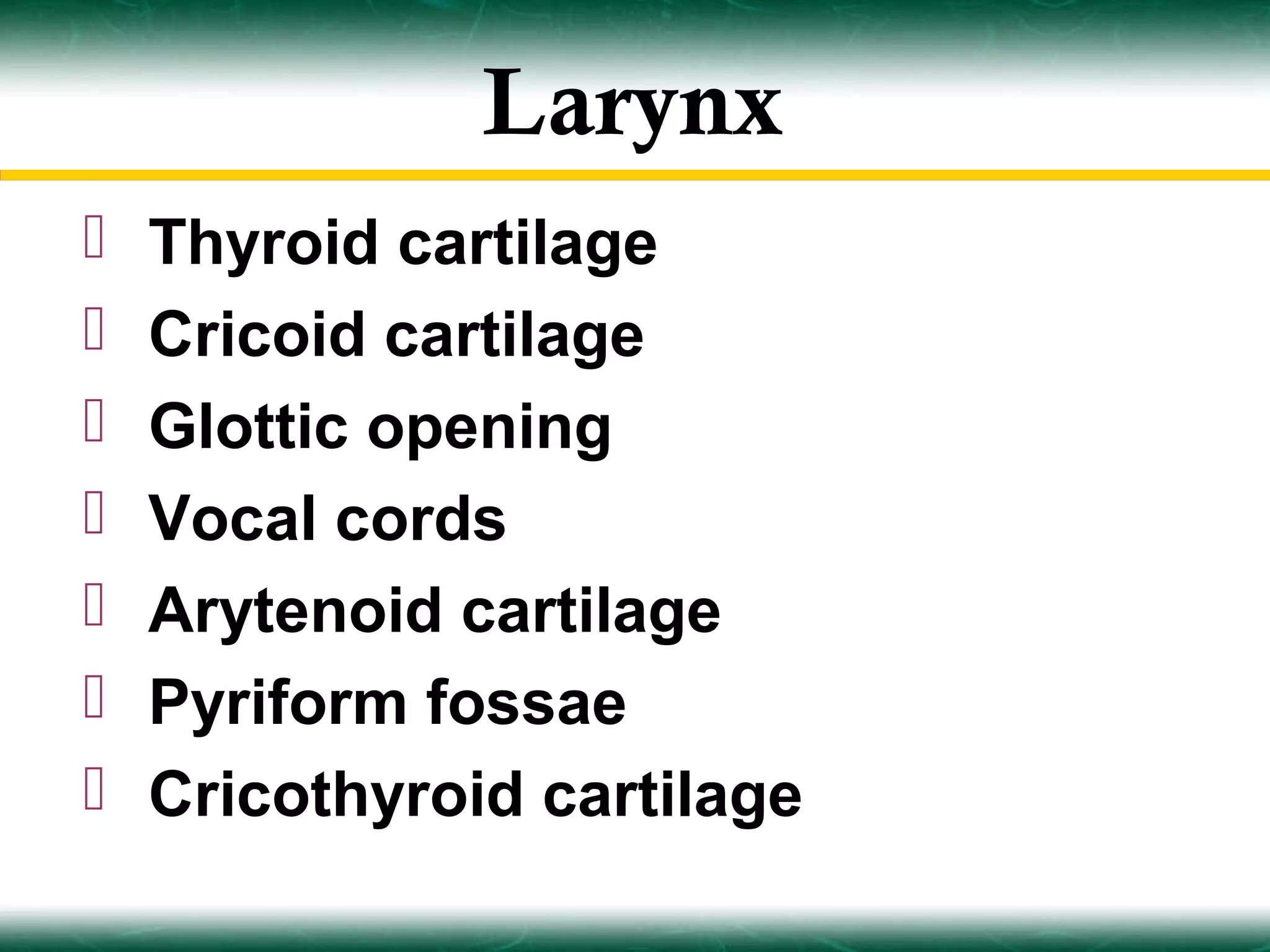 Larynx
   Thyroid cartilage
   Cricoid cartilage
   Glottic opening
   Vocal cords
   Arytenoid cartilage
   Pyriform fossae
   Cricothyroid cartilage
 