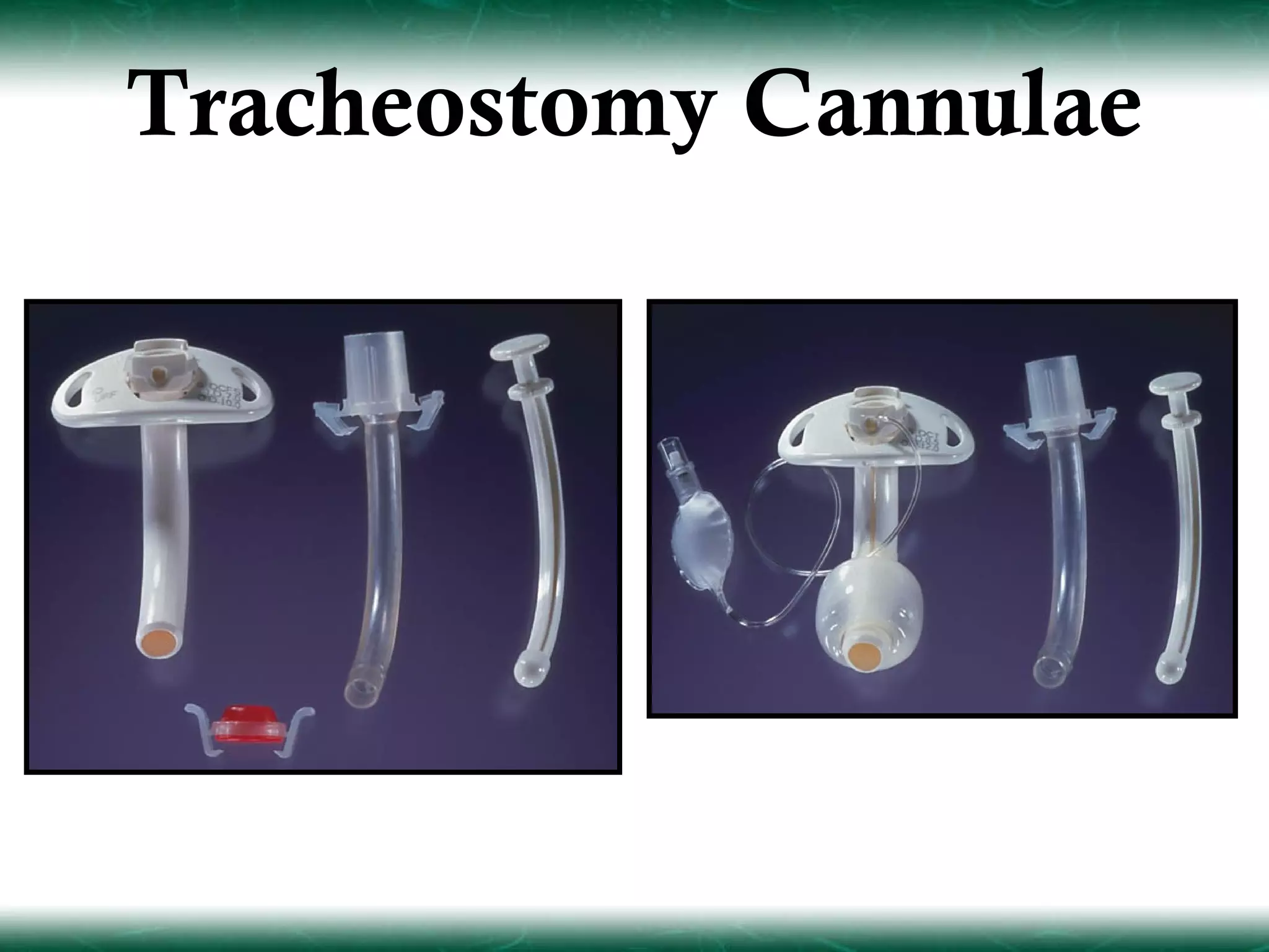 Tracheostomy Cannulae
 
