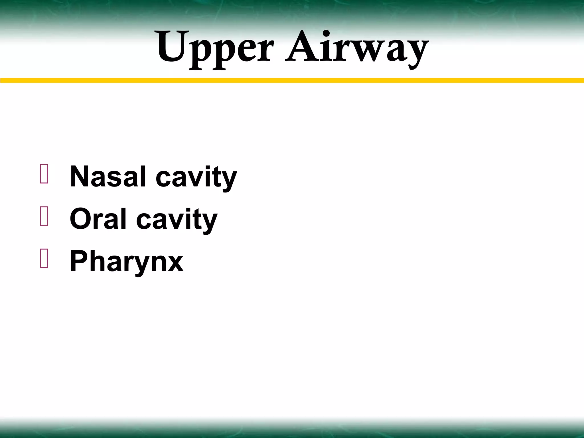 Upper Airway

 Nasal cavity
 Oral cavity
 Pharynx
 