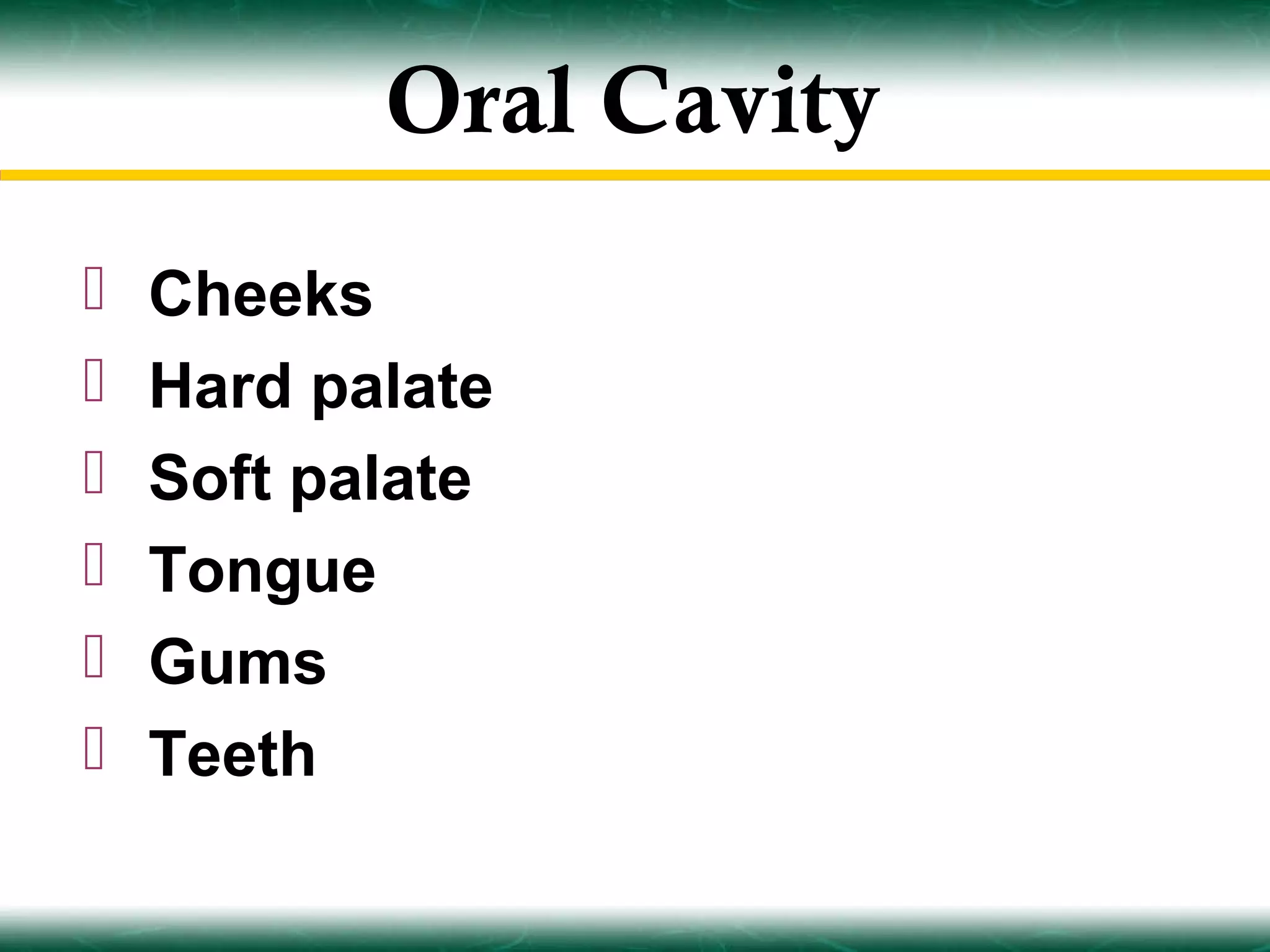 Oral Cavity
   Cheeks
   Hard palate
   Soft palate
   Tongue
   Gums
   Teeth
 