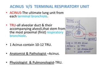 Acinus Functional Unit Airway anatomy | PPTX
