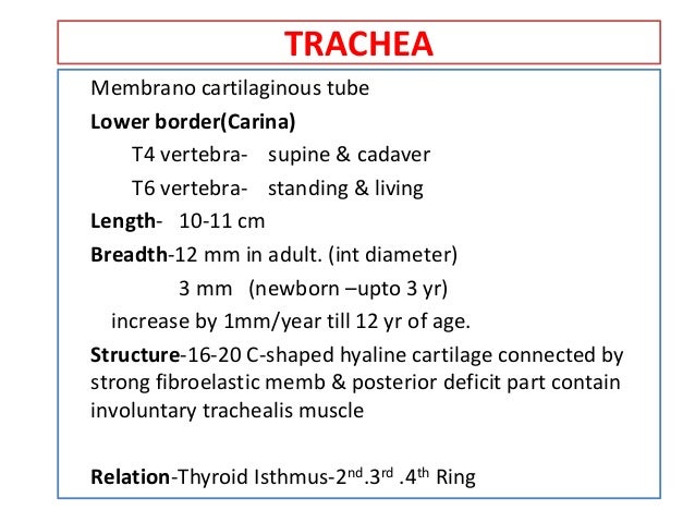 aer o medical term aer o medical term