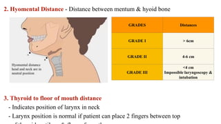 Airway Anatomy & Evaluation PPT.pptx