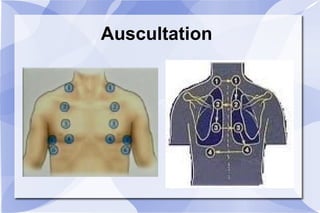 Auscultation 