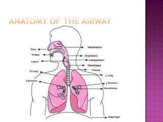 Airway and Respiratory care