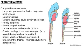 PEDIATRIC AIRWAY
Compared to adults have-
• Larger occiput(anterior flexion may cause
obstruction)
• Nasal breathers
• Large tongue(may cause airway obsruction)
• Floppy epiglottis
• Funnel shaped trachea
• Larynx anterior and cephalad (c2-c3)
• Cricoid cartilage is the narrowest part (acts
as cuff during tracheal intubation)
• Infants vocal cords have more angled
attachment to trachea, whereas adults have
perpendicular
 
