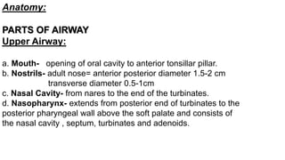 Anatomy:
PARTS OF AIRWAY
Upper Airway:
a. Mouth- opening of oral cavity to anterior tonsillar pillar.
b. Nostrils- adult nose= anterior posterior diameter 1.5-2 cm
transverse diameter 0.5-1cm
c. Nasal Cavity- from nares to the end of the turbinates.
d. Nasopharynx- extends from posterior end of turbinates to the
posterior pharyngeal wall above the soft palate and consists of
the nasal cavity , septum, turbinates and adenoids.
 