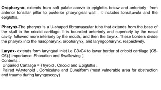 Oropharynx- extends from soft palate above to epiglottis below and anteriorly from
anterior tonsillar pillar to posterior pharyngeal wall , it includes tonsil,uvula and the
epiglottis.
Pharynx-The pharynx is a U-shaped fibromuscular tube that extends from the base of
the skull to the cricoid cartilage. It is bounded anteriorly and superiorly by the nasal
cavity, followed more inferiorly by the mouth, and then the larynx. These borders divide
the pharynx into the nasopharynx, oropharynx, and laryngopharynx, respectively.
Larynx- extends form laryngeal inlet i.e C3-C4 to lower border of cricoid cartilage (C5-
C6)-[ Importance :Phonation and Swallowing ]
Contents :
Unpaired Cartilage = Thyroid , Cricoid and Epiglottis ,
Paired =Arytenoid , Corniculate and Cuneiform (most vulnerable area for obstruction
and trauma during laryngoscopy)
 