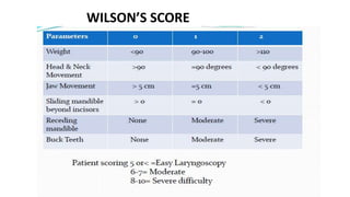 WILSON’S SCORE
 