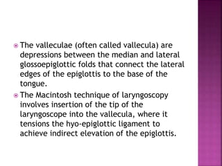  The valleculae (often called vallecula) are
depressions between the median and lateral
glossoepiglottic folds that connect the lateral
edges of the epiglottis to the base of the
tongue.
 The Macintosh technique of laryngoscopy
involves insertion of the tip of the
laryngoscope into the vallecula, where it
tensions the hyo-epiglottic ligament to
achieve indirect elevation of the epiglottis.
 