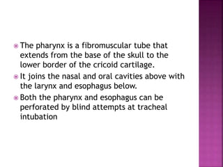  The pharynx is a fibromuscular tube that
extends from the base of the skull to the
lower border of the cricoid cartilage.
 It joins the nasal and oral cavities above with
the larynx and esophagus below.
 Both the pharynx and esophagus can be
perforated by blind attempts at tracheal
intubation
 