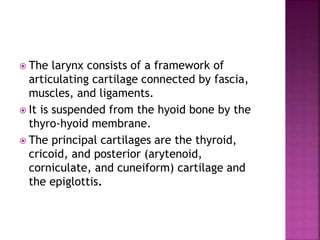  The larynx consists of a framework of
articulating cartilage connected by fascia,
muscles, and ligaments.
 It is suspended from the hyoid bone by the
thyro-hyoid membrane.
 The principal cartilages are the thyroid,
cricoid, and posterior (arytenoid,
corniculate, and cuneiform) cartilage and
the epiglottis.
 