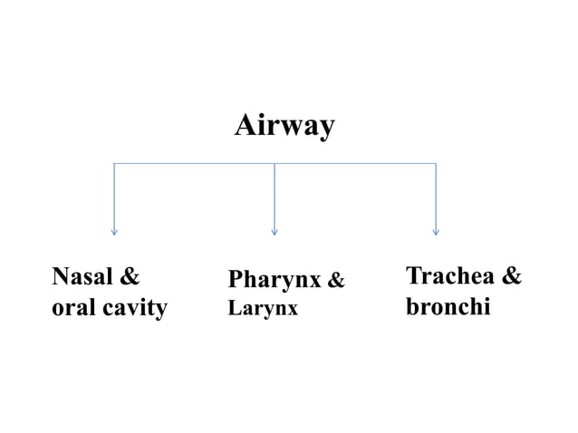 AIRWAY ASSESSMENT IN PAEDIATRICS PATIENTS-LARYNGOSCOPY, INTUBATION ...