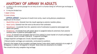 ANATOMY OF AIRWAY IN ADULTS
 It refers to the normal passage for air entry & exit in a human being for efficient gas exchange at
the lungs.
 It may be divided into
1.Upper airway
2.Lower airway
UPPER AIRWAY- Comprises of mouth/oral cavity, nasal cavity,pharynx,nasopharynx
oropharynx & the larynx
1. Mouth/Oral cavity- Extends from the mouth opening to anterior tonsillar pillars.
2. Nasal cavity- Extends from the naris to the end of the turbinates.
3. Nasopharynx : It extends from the posterior end of turbinates to posterior pharyngeal wall
above soft palate.
4. Oropharynx : It extends from soft palate above to epiglottis below & anteriorly from anterior
tonsillar pillar to posterior pharyngeal wall.
5. Larynx :It extends from laryngeal inlet [C3-C4 in adults] to lower border of cricoid cartilage [ C6
in adults]. Larynx includes 3 paired & 3 unpaired cartilages
3 large Unpaired cartilages are cricoid, thyroid & epiglottis
3 Paired smaller cartilages are arytenoids, corniculate & cuneiform.
Thyroid is the largest of the laryngeal cartilages having 2 alae which meets anteriorly at an angle of
90 degrees in males & 120 degrees in females. Vocal cords are attached to its middle.
The cricoid is the only complete ring cartilage.
 