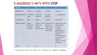 5.MAGBOUL’S 4M’S WITH STOP
SIGN
 