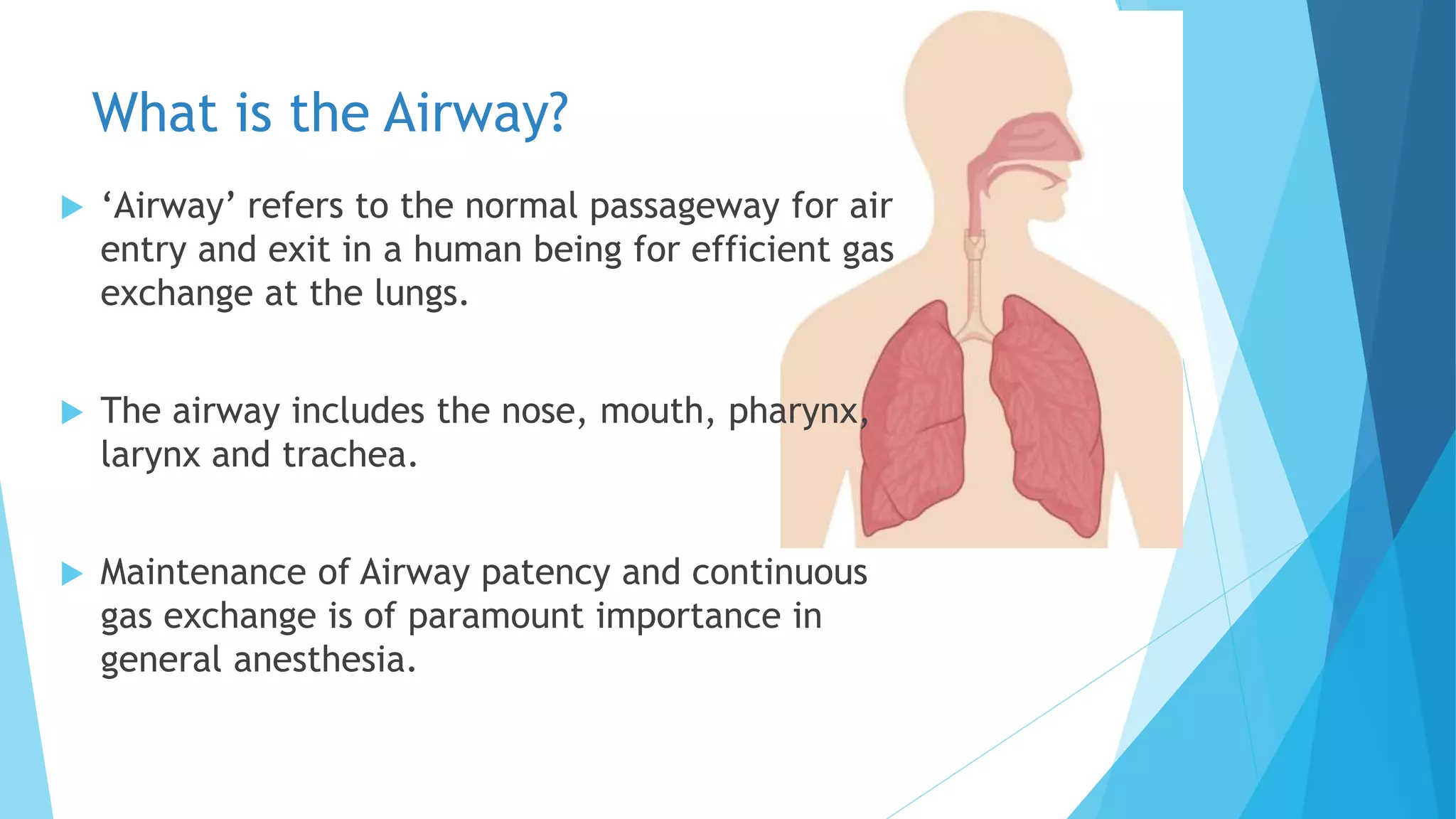 Airway assessment in anaesthesia PPT