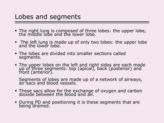Lobes and segments
 The right lung is composed of three lobes: the upper lobe,
the middle lobe and the lower lobe.
 The left lung is made up of only two lobes: the upper lobe
and the lower lobe.
 The lobes are divided into smaller sections called
segments.
 The upper lobes on the left and right sides are each made
up of three segments: top (apical), back (posterior) and
front (anterior).
Segments of lobes are made up of a network of airways,
air sacs and blood vessels.
 These sacs allow for the exchange of oxygen and carbon
dioxide between the blood and air.
 During PD and positioning it is these segments that are
being drained.
 