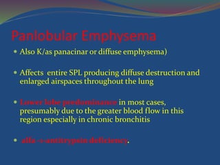 Panlobular Emphysema
 Also K/as panacinar or diffuse emphysema)
 Affects entire SPL producing diffuse destruction and
enlarged airspaces throughout the lung
 Lower lobe predominance in most cases,
presumably due to the greater blood flow in this
region especially in chronic bronchitis
 alfa -1-antitrypsin deficiency.
 