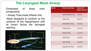 The Laryngeal Mask Airway
Comprised of three main
components
– Airway Tube,mask,inflation line
Mask designed to conform to the
contours of the hypopharynx with
its lumen facing the laryngeal
opening.
Made of silicone, it can be
autoclaved and reused many
times.
Seal pressure =25cmH2O
 