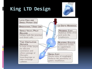 King LTD Design
 