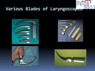 Various Blades of Laryngoscopes
 