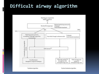 Difficult airway algorithm
 