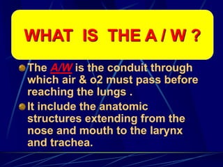 The A/W is the conduit through
which air & o2 must pass before
reaching the lungs .
It include the anatomic
structures extending from the
nose and mouth to the larynx
and trachea.
WHAT IS THE A / W ?
 