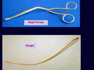 Magill forceps
Bougie
 
