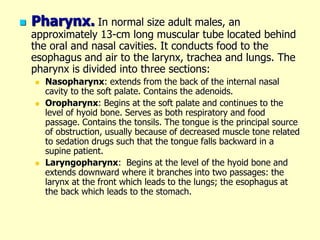  Pharynx. In normal size adult males, an
approximately 13-cm long muscular tube located behind
the oral and nasal cavities. It conducts food to the
esophagus and air to the larynx, trachea and lungs. The
pharynx is divided into three sections:
 Nasopharynx: extends from the back of the internal nasal
cavity to the soft palate. Contains the adenoids.
 Oropharynx: Begins at the soft palate and continues to the
level of hyoid bone. Serves as both respiratory and food
passage. Contains the tonsils. The tongue is the principal source
of obstruction, usually because of decreased muscle tone related
to sedation drugs such that the tongue falls backward in a
supine patient.
 Laryngopharynx: Begins at the level of the hyoid bone and
extends downward where it branches into two passages: the
larynx at the front which leads to the lungs; the esophagus at
the back which leads to the stomach.
 