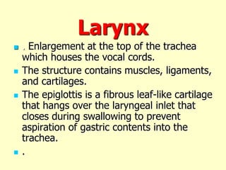 Larynx
 . Enlargement at the top of the trachea
which houses the vocal cords.
 The structure contains muscles, ligaments,
and cartilages.
 The epiglottis is a fibrous leaf-like cartilage
that hangs over the laryngeal inlet that
closes during swallowing to prevent
aspiration of gastric contents into the
trachea.
 .
 