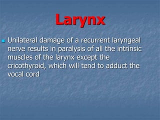 Larynx
 Unilateral damage of a recurrent laryngeal
nerve results in paralysis of all the intrinsic
muscles of the larynx except the
cricothyroid, which will tend to adduct the
vocal cord
 