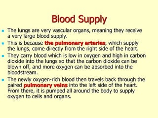 Blood Supply
 The lungs are very vascular organs, meaning they receive
a very large blood supply.
 This is because the pulmonary arteries, which supply
the lungs, come directly from the right side of the heart.
 They carry blood which is low in oxygen and high in carbon
dioxide into the lungs so that the carbon dioxide can be
blown off, and more oxygen can be absorbed into the
bloodstream.
 The newly oxygen-rich blood then travels back through the
paired pulmonary veins into the left side of the heart.
From there, it is pumped all around the body to supply
oxygen to cells and organs.
 