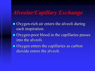 Alveolar/Capillary Exchange
 Oxygen-rich air enters the alveoli during
each inspiration.
 Oxygen-poor blood in the capillaries passes
into the alveoli.
 Oxygen enters the capillaries as carbon
dioxide enters the alveoli.
 