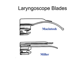 Laryngoscope Blades


         Macintosh




        Miller
 