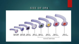 SIZE OF OPA
 