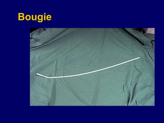 Bougie 