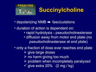 Succinylcholine duration of action is dependant on: rapid hydrolysis - pseudocholinesterase diffusion away from motor end plate (no  pseudocholinesterase at end plate) only a fraction of dose ever reaches end plate give large doses no harm giving too much problem when incompletely paralyzed give extra 20%  (2 mg / kg) PARALYSIS depolarizing NMB  fasciculations 
