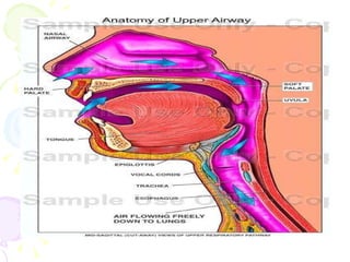 • DIFFICULT LARYGOSCOPY :
• It is not possible to visualize any
portion of the vocal cords with
conventional laryngoscopy....