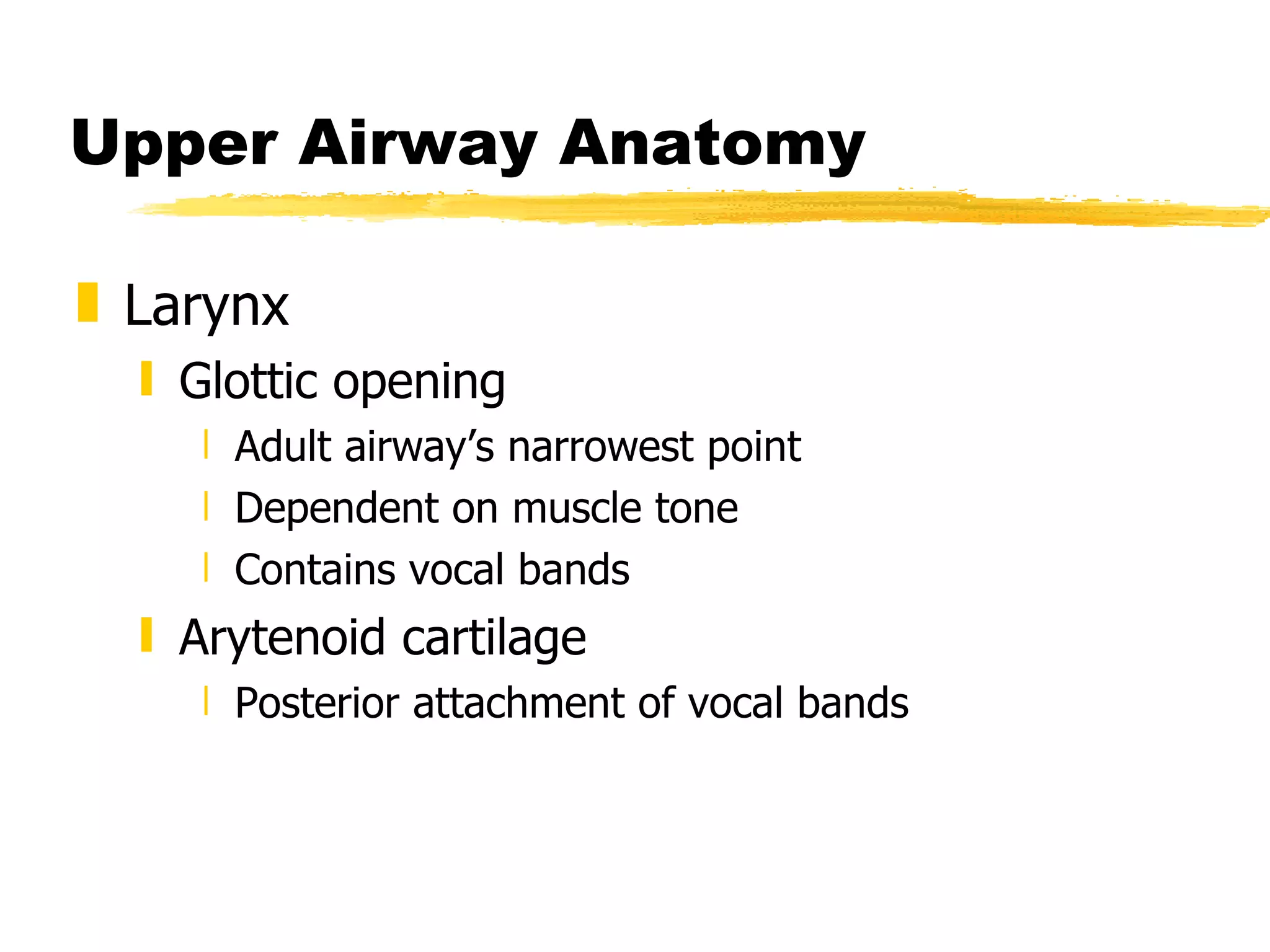 Upper Airway Anatomy Larynx Glottic opening Adult airway’s narrowest point Dependent on muscle tone Contains vocal bands Arytenoid cartilage Posterior attachment of vocal bands 