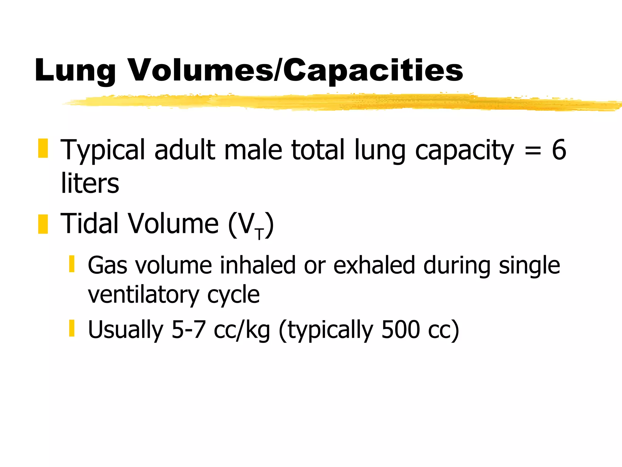 Lung Volumes/Capacities Typical adult male total lung capacity = 6 liters Tidal Volume (V T ) Gas volume inhaled or exhaled during single ventilatory cycle Usually 5-7 cc/kg (typically 500 cc) 