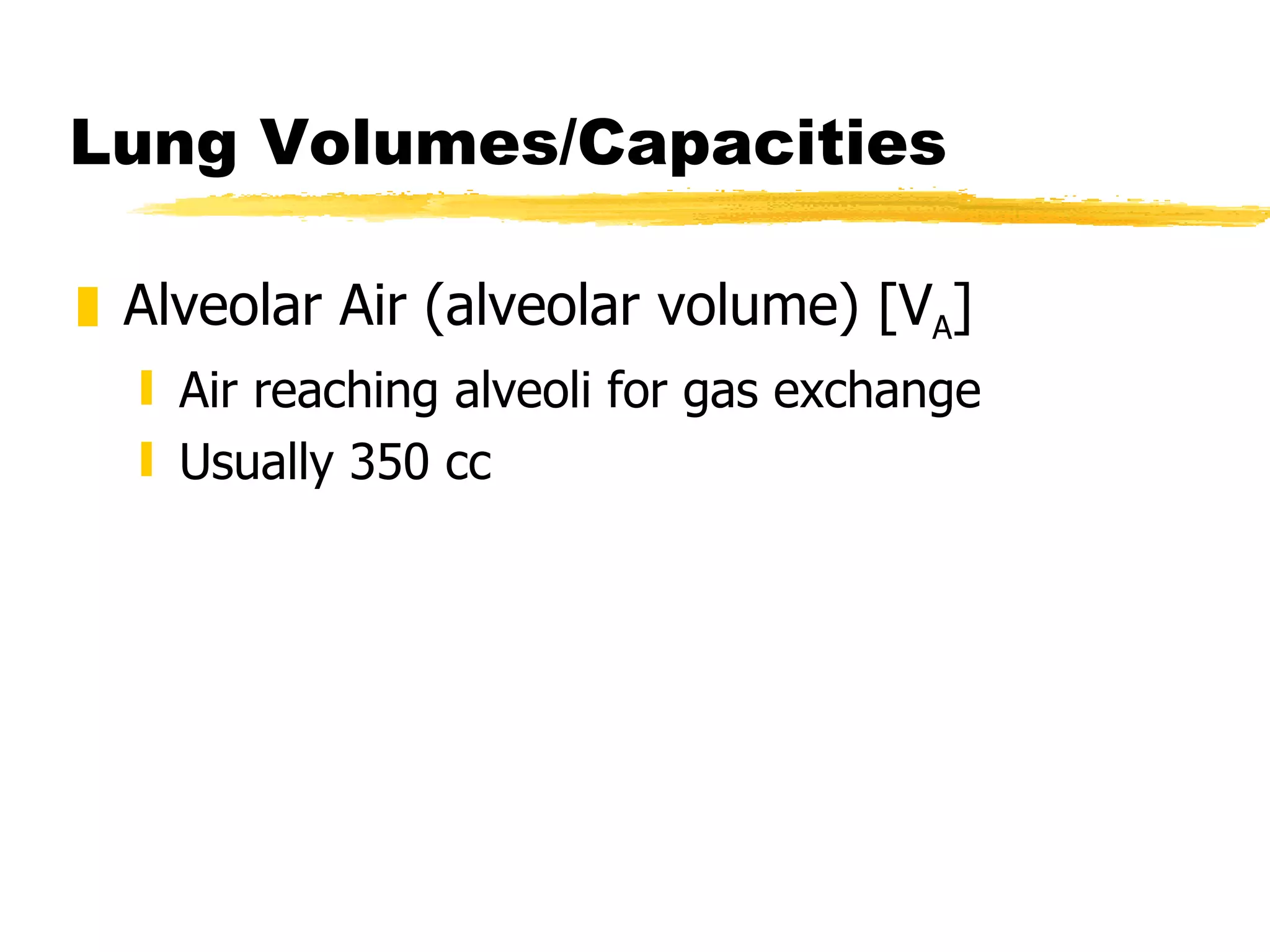 Lung Volumes/Capacities Alveolar Air (alveolar volume) [V A ] Air reaching alveoli for gas exchange Usually 350 cc 