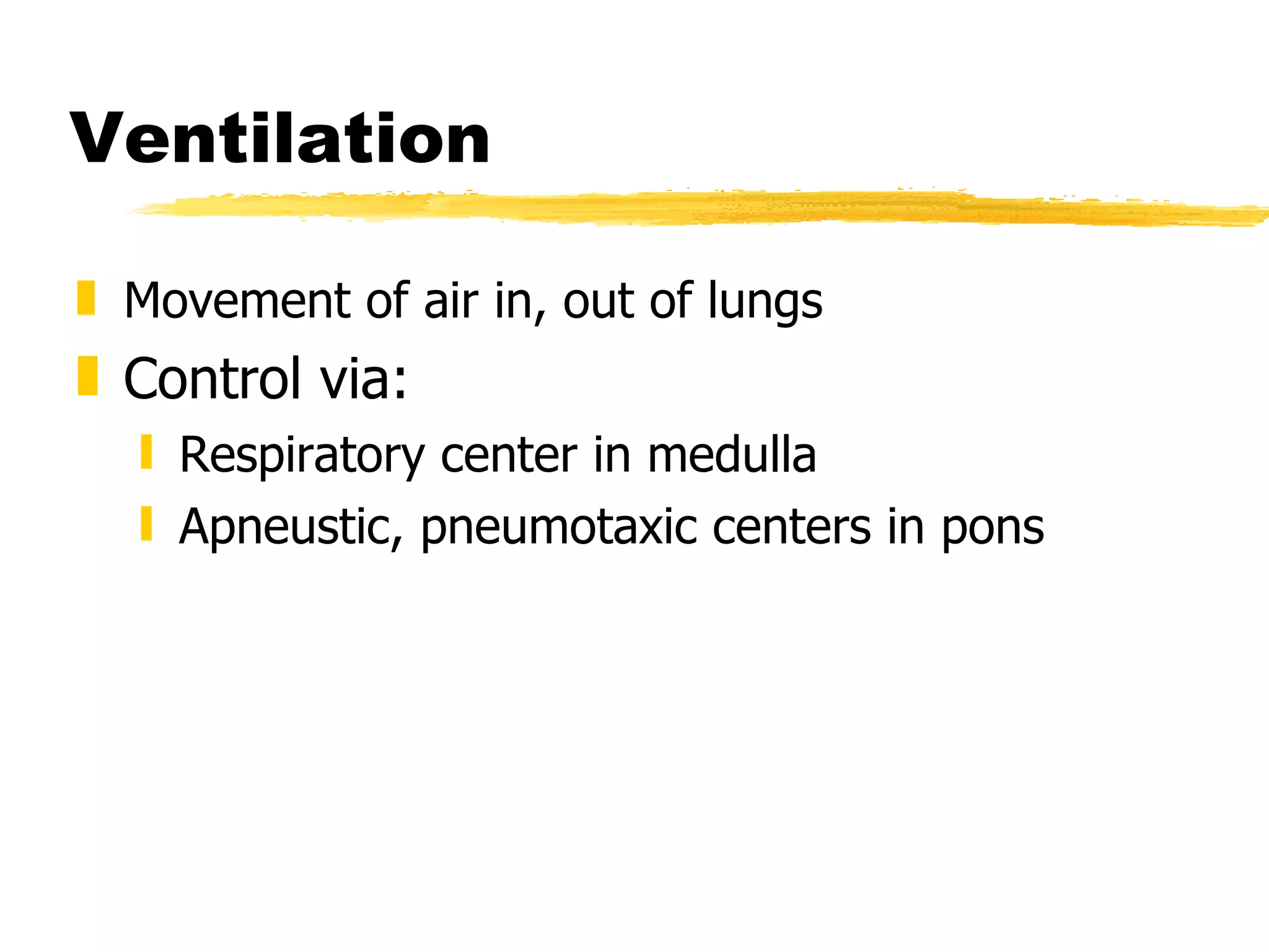 Ventilation Movement of air in, out of lungs Control via: Respiratory center in medulla Apneustic, pneumotaxic centers in pons 