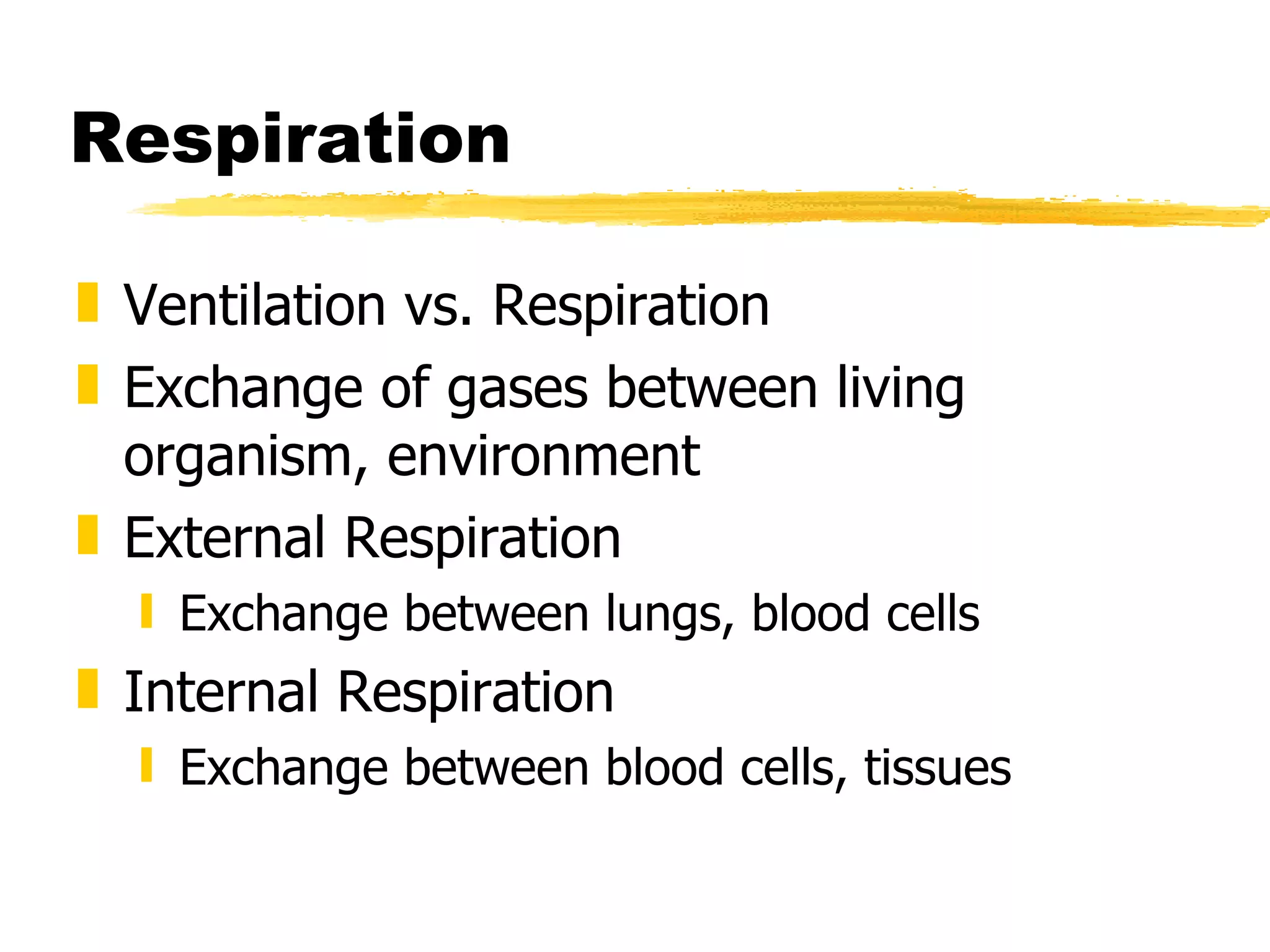 Respiration Ventilation vs. Respiration Exchange of gases between living organism, environment External Respiration Exchange between lungs, blood cells Internal Respiration Exchange between blood cells, tissues 