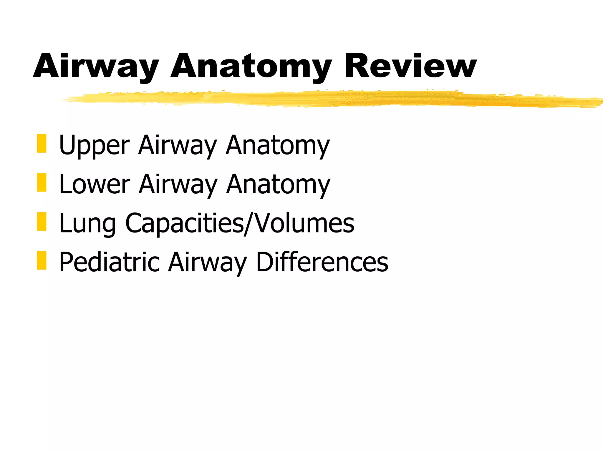Airway Anatomy Review Upper Airway Anatomy Lower Airway Anatomy Lung Capacities/Volumes Pediatric Airway Differences 
